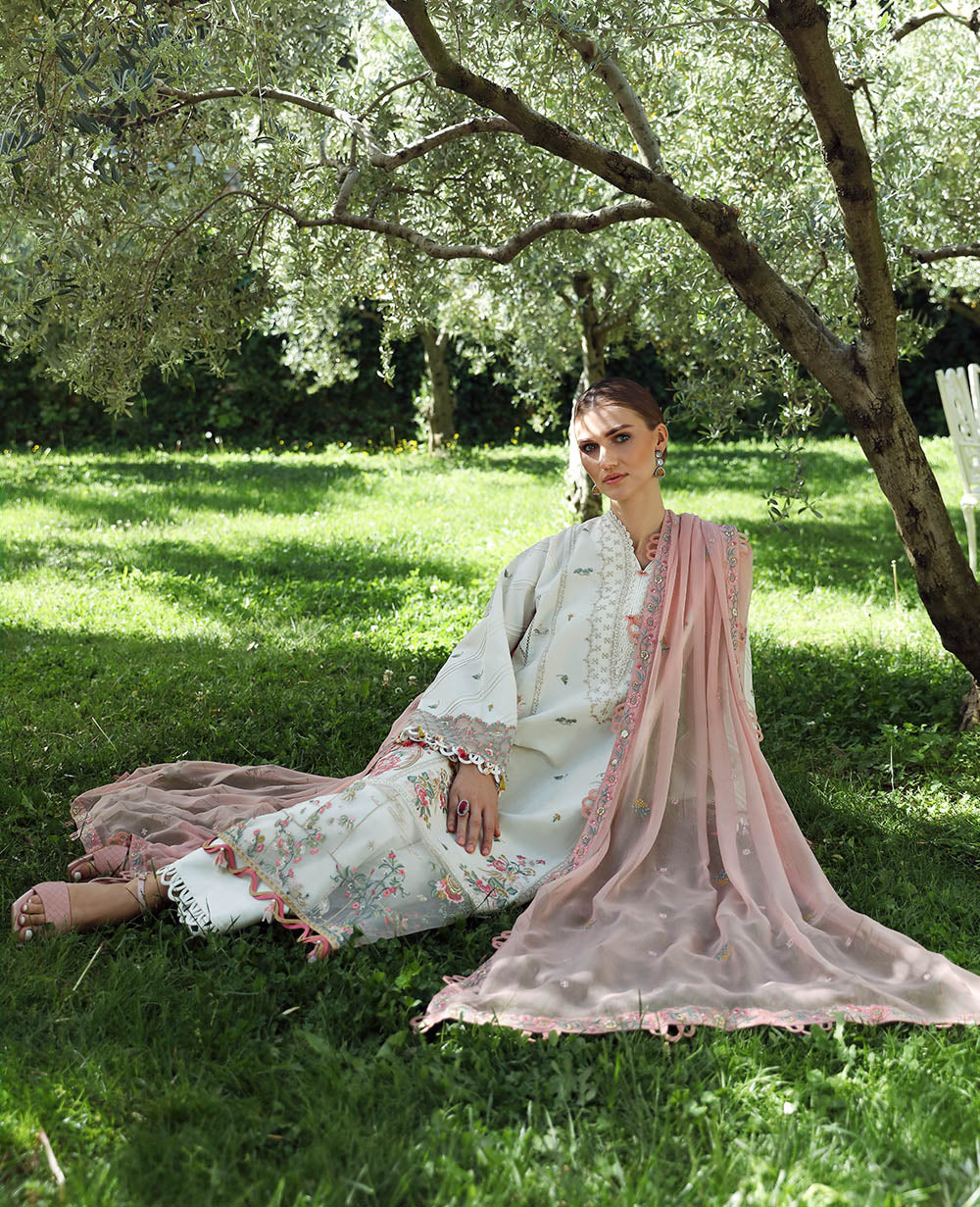 Camellia (D3-B) - Image 3