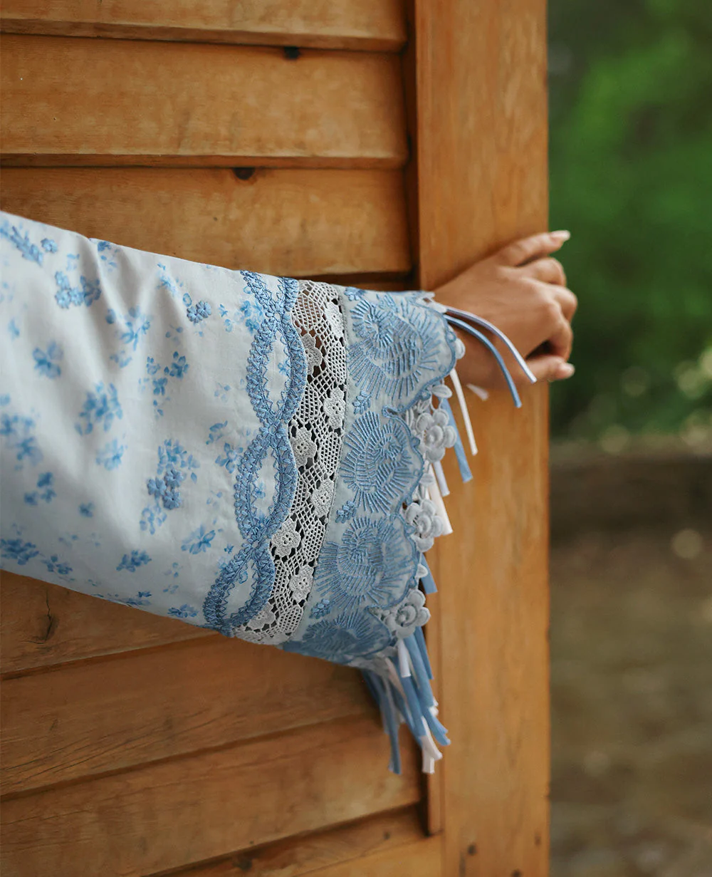 D2-B - Mireya - Image 6