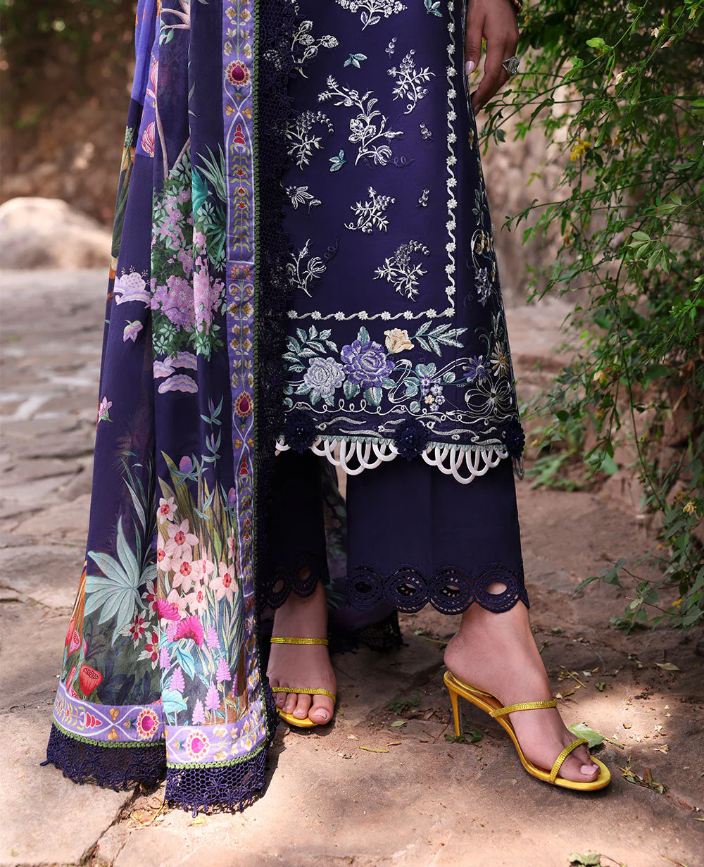 D3-B - Saia - Image 4