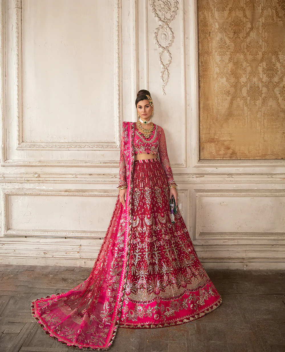 Oeillet Rouge - Image 3