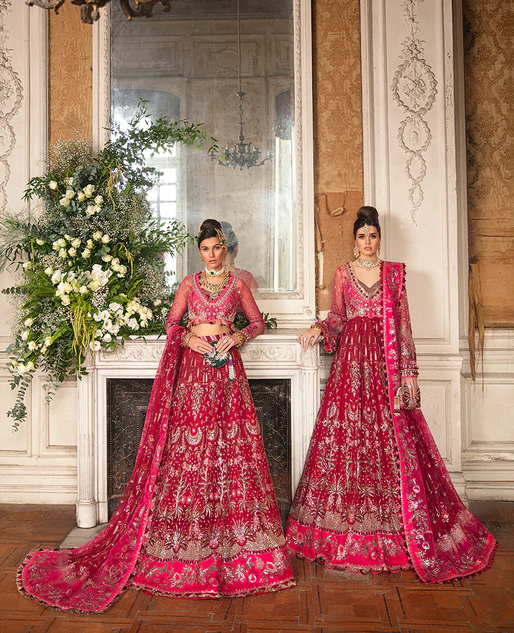 Oeillet Rouge - Image 9