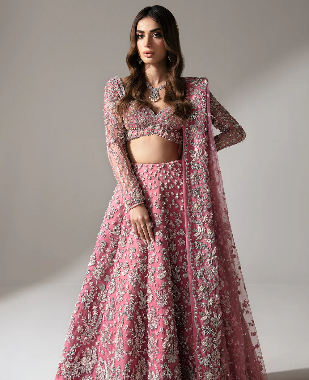 Zinnia ( WC-76 ) - Image 3